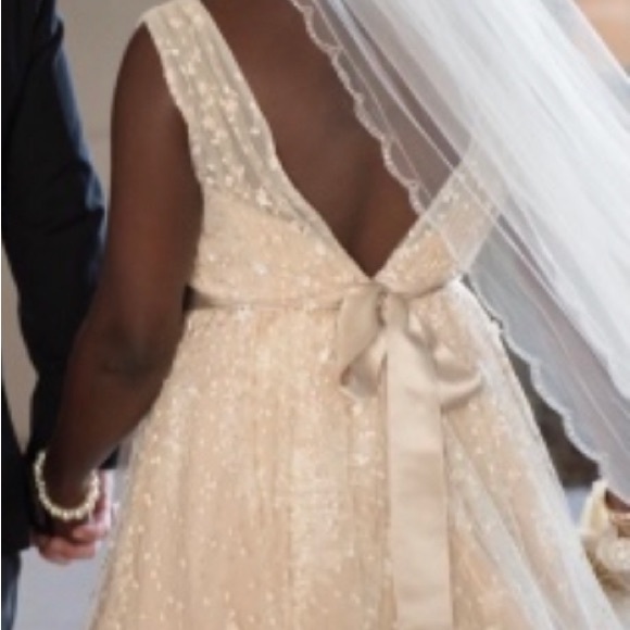 David’s Bridal A-Line champagne wedding dress - Picture 4 of 4